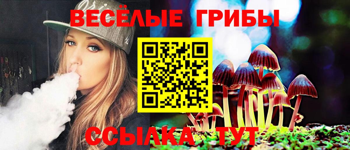 Зеленодольск  Псилоцибиновые грибы Magic Shrooms  Вход с VPN 